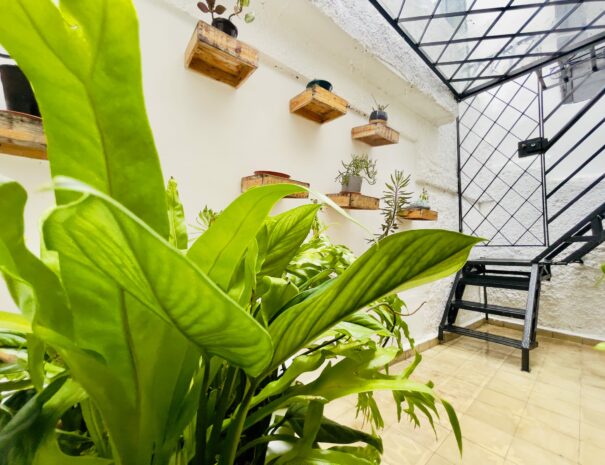 patio at villaverde bnb, old havana, cuba